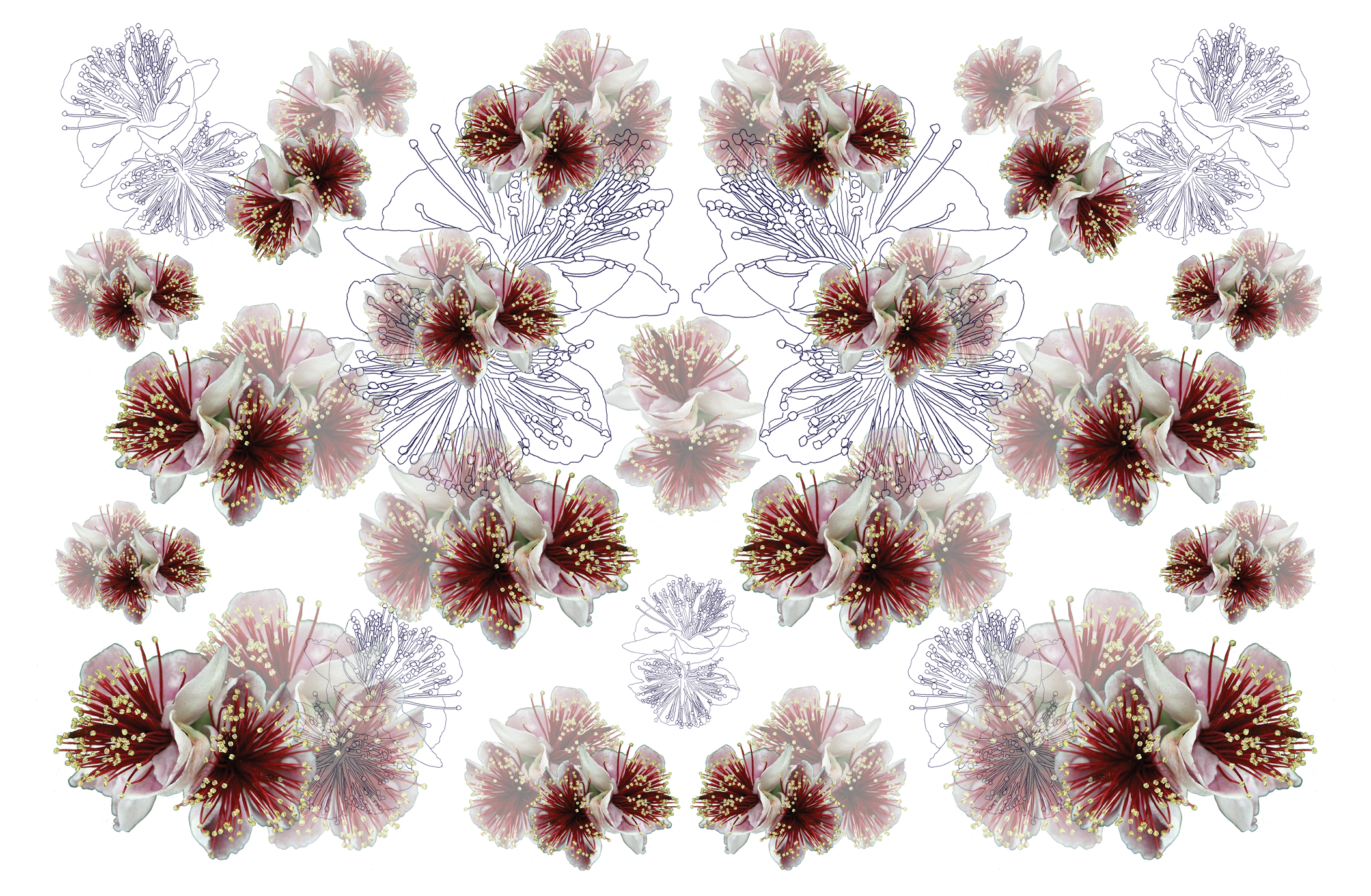 print2